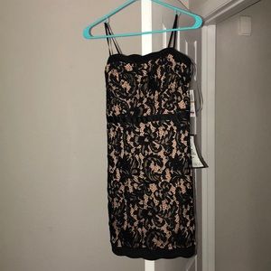 Macy’s black and nude lace dress **BRAND NEW**